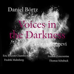 Bortz / Sonnevi / Malmberg / Zetterstrom - Daniel Bortz: Voices in the Darkness
